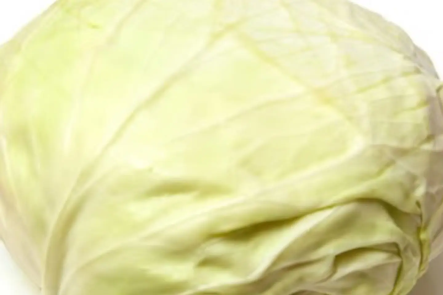 ملفوف سلطة قطعة