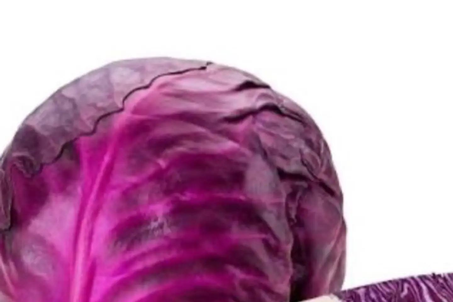 ملفوف بنفسجي قطعة