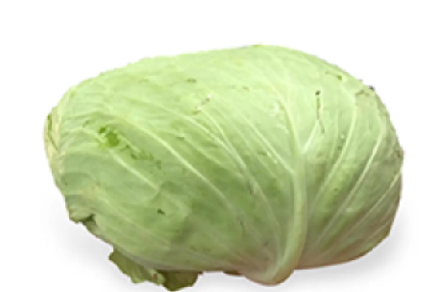 ملفوف للمحشي