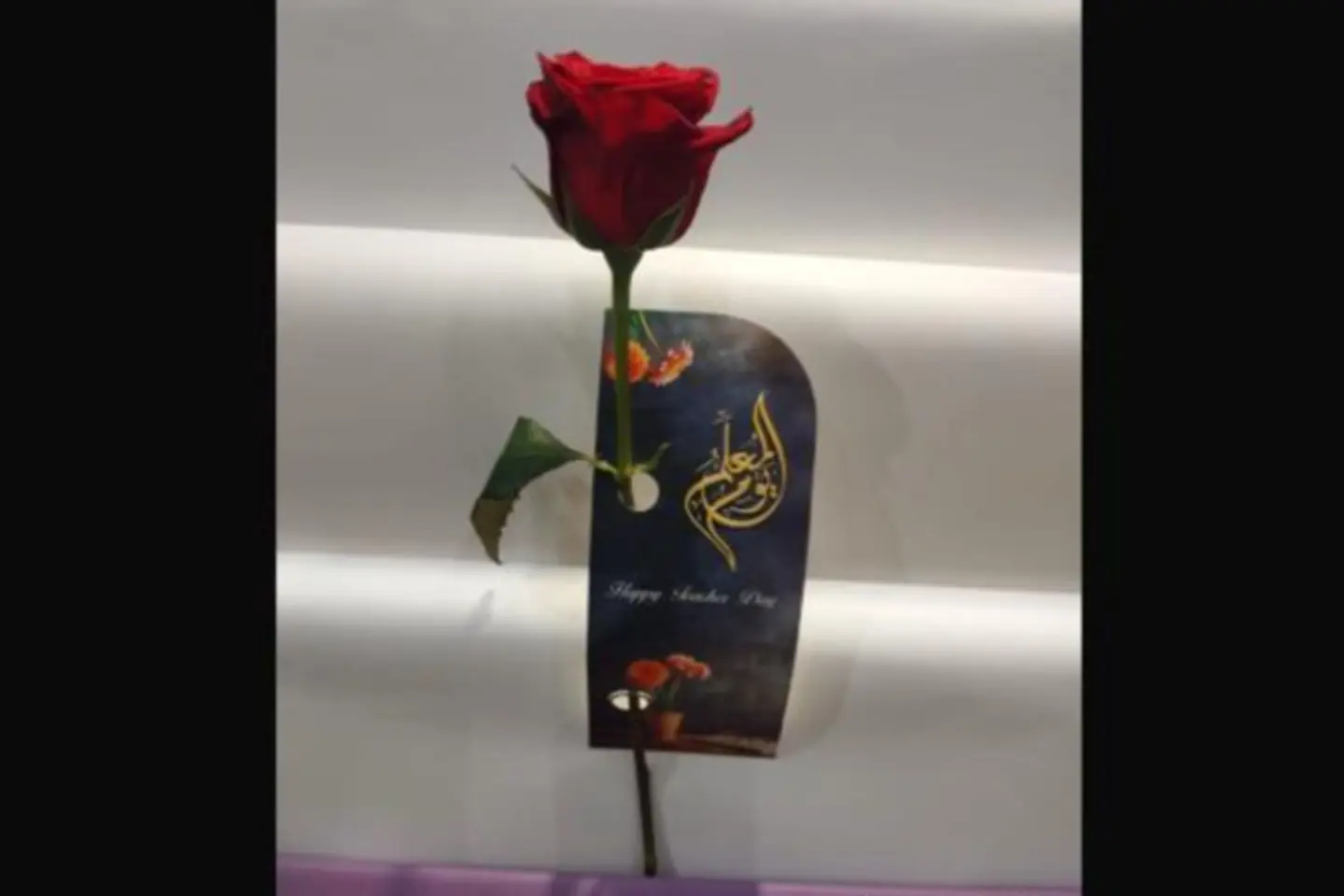 حبة جوري احمر مع كارت يوم المعلم