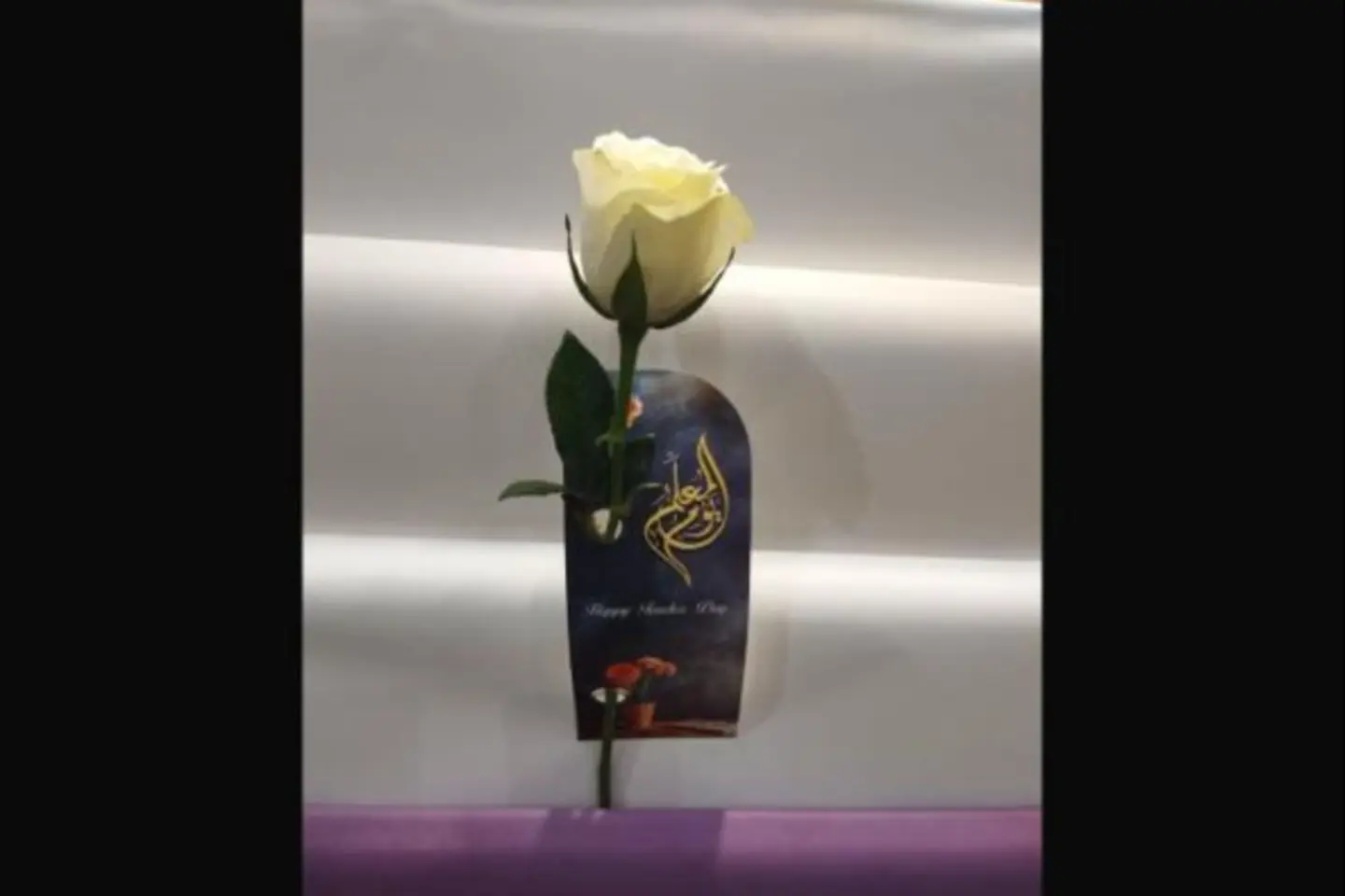 حبة جوري ابيض مع كارت يوم المعلم