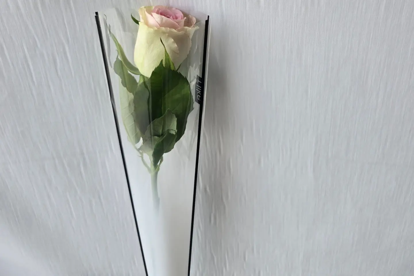 ورده لون بينك