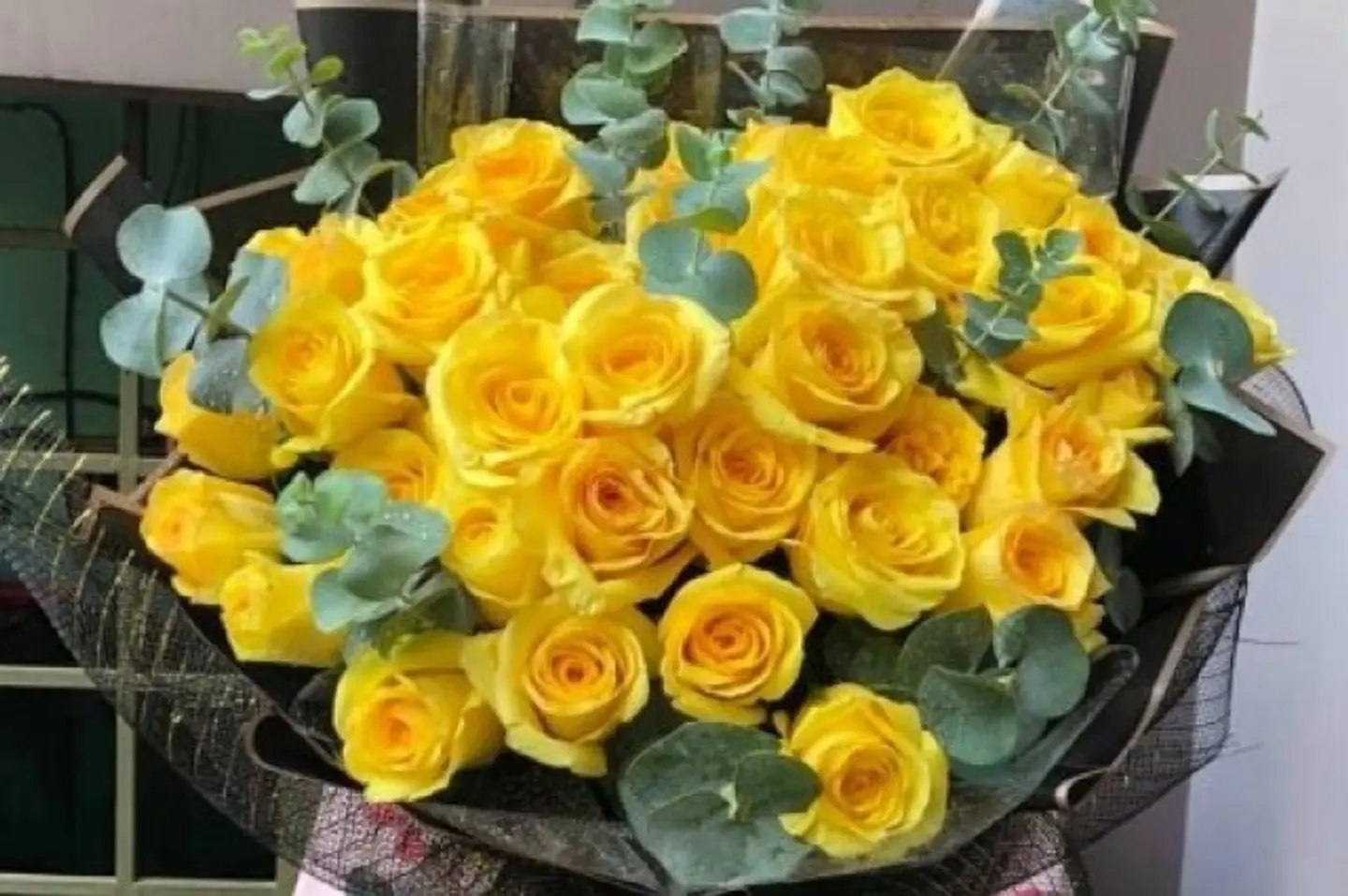 إشراقة ذهبية ٤٠