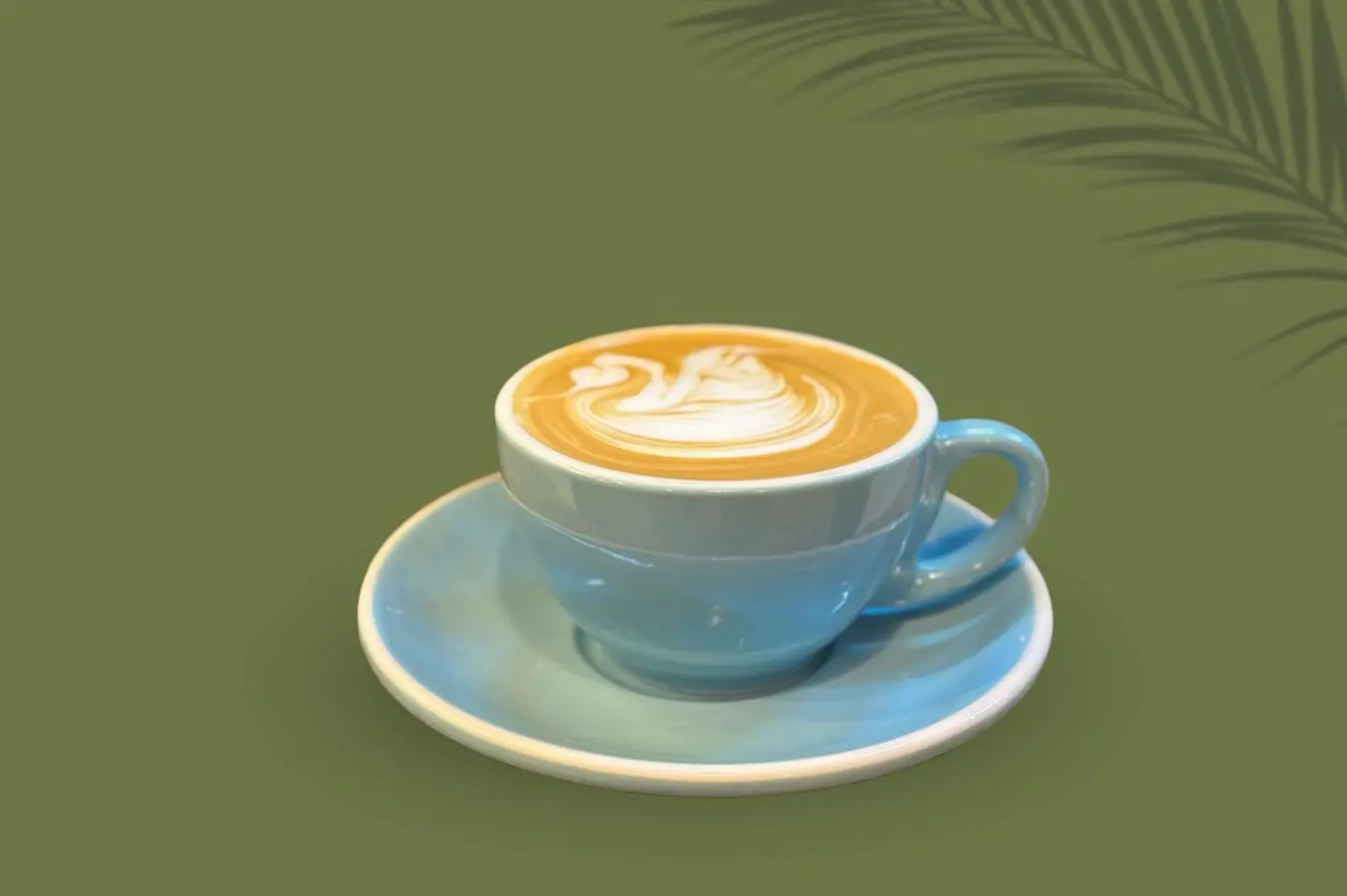 فانيلا لاتيه