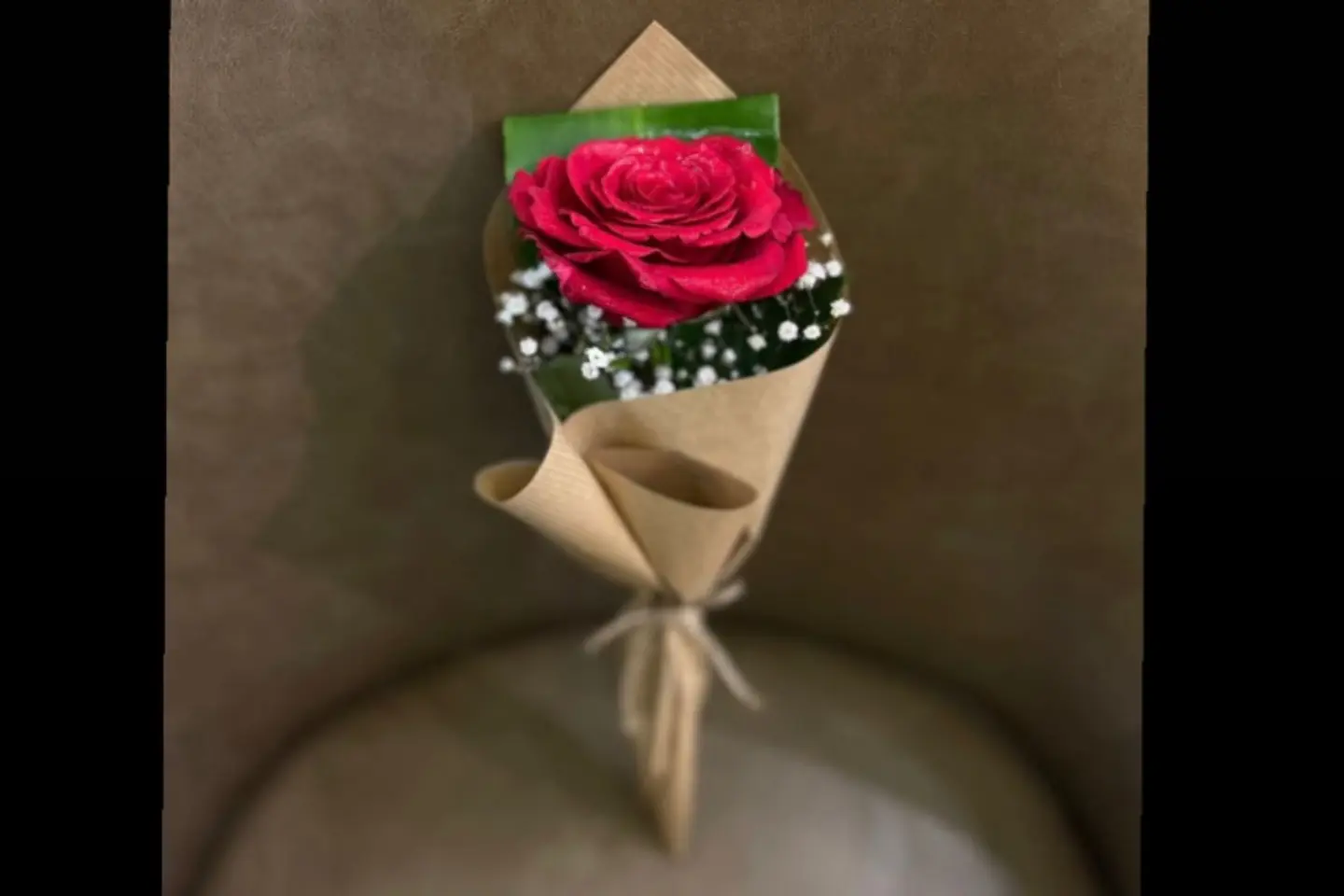 ر١ الوردة الحمراء