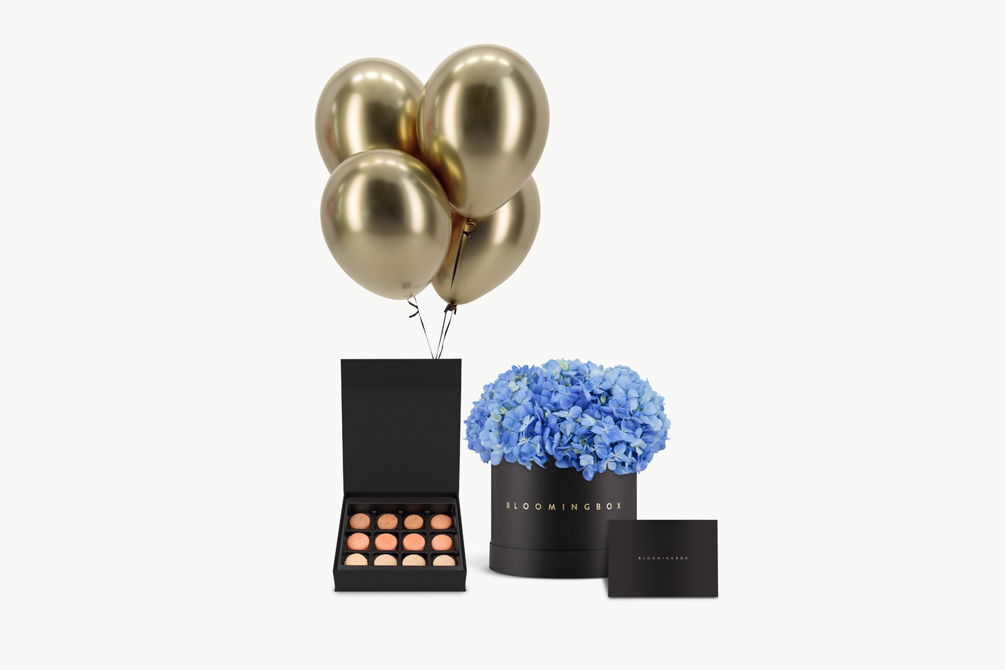 بوكس هيدرانجيا مع الماكارون