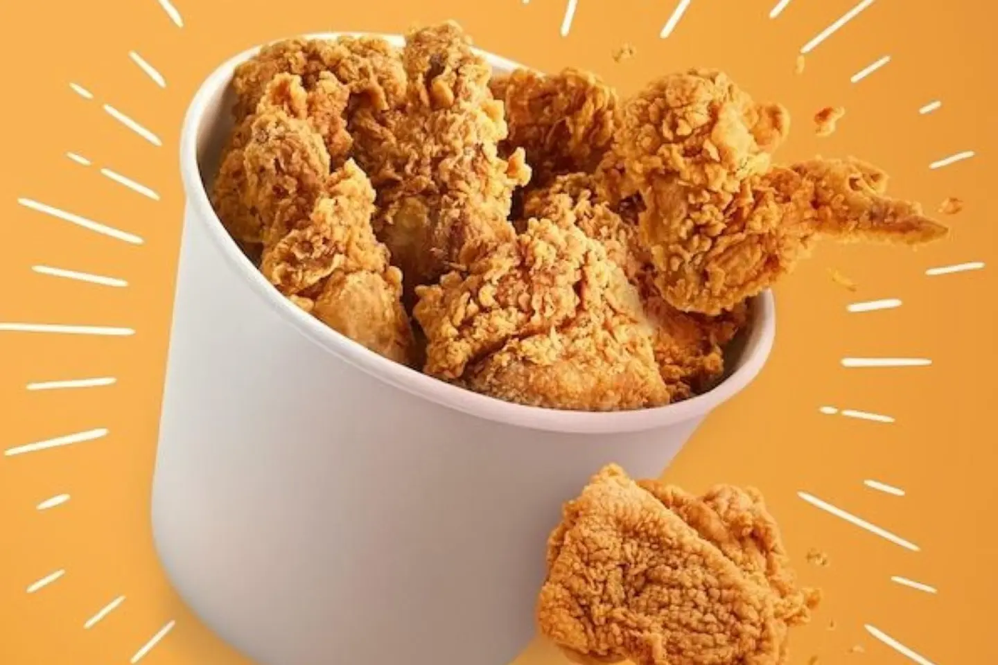 16 Pcs Chicken Family Bucket