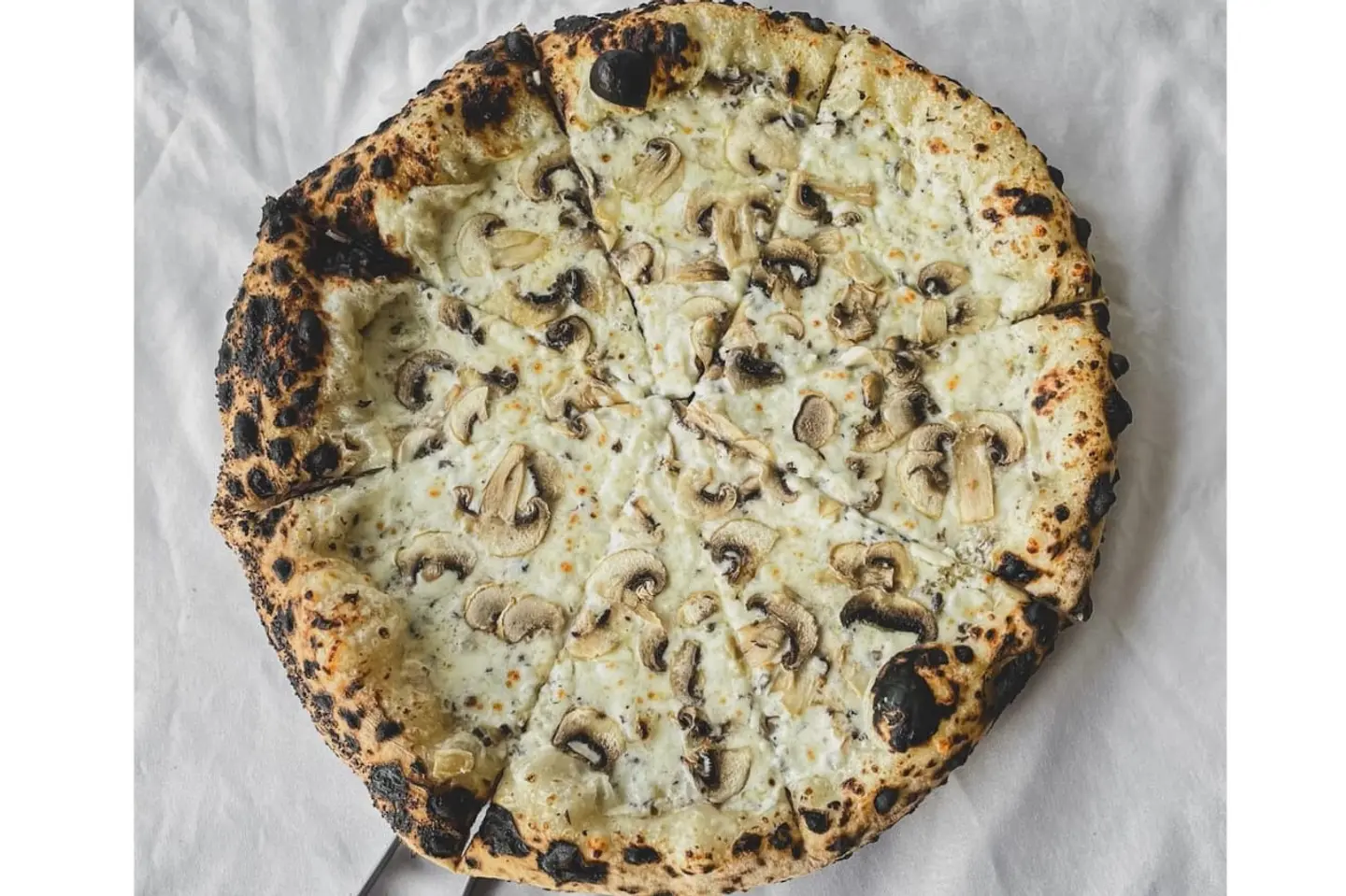 Truffle - Large