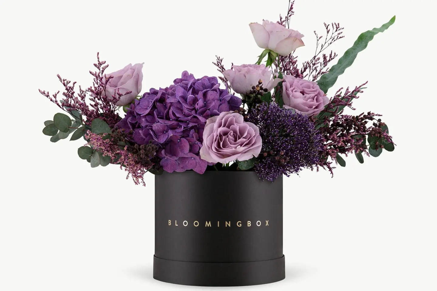 بوكس ابها متوسط