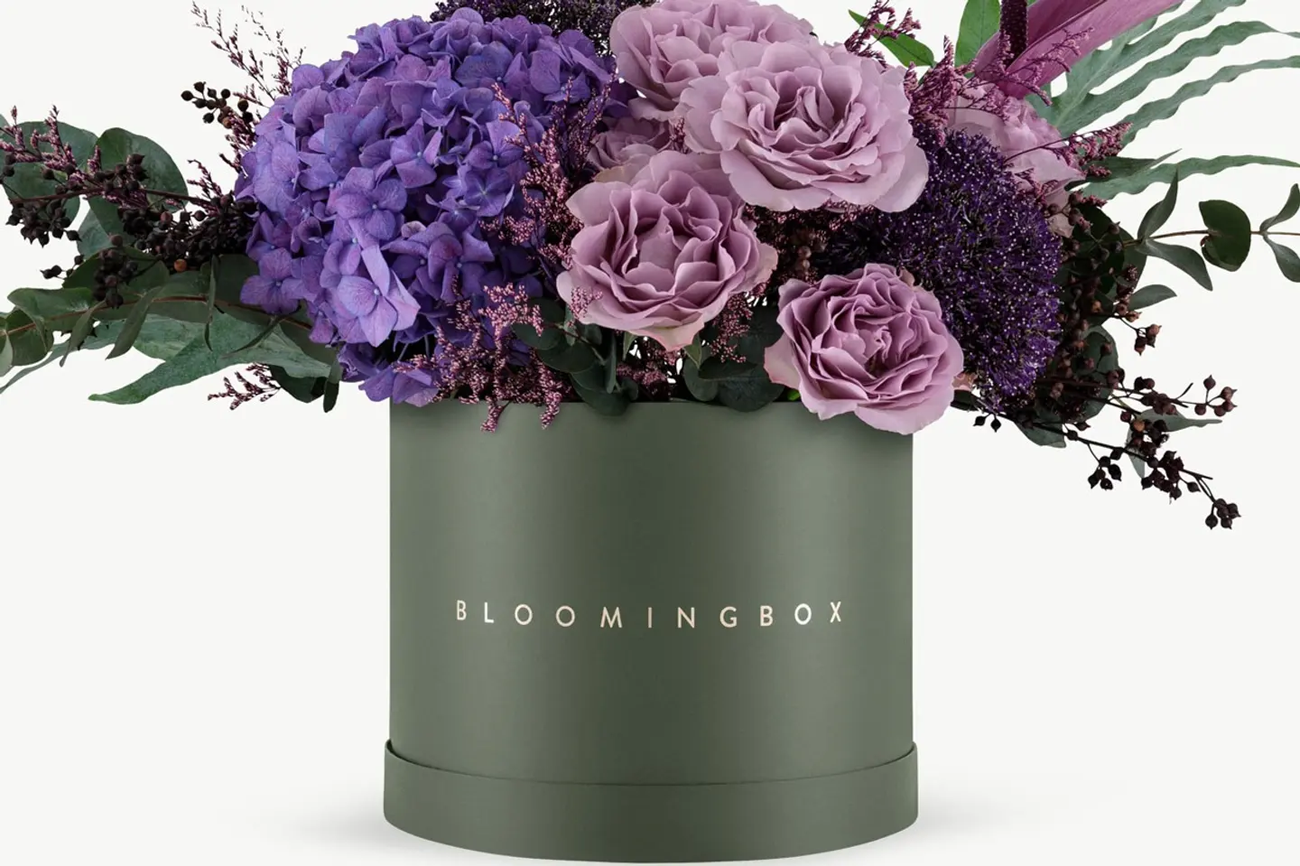 بوكس ابها كبير