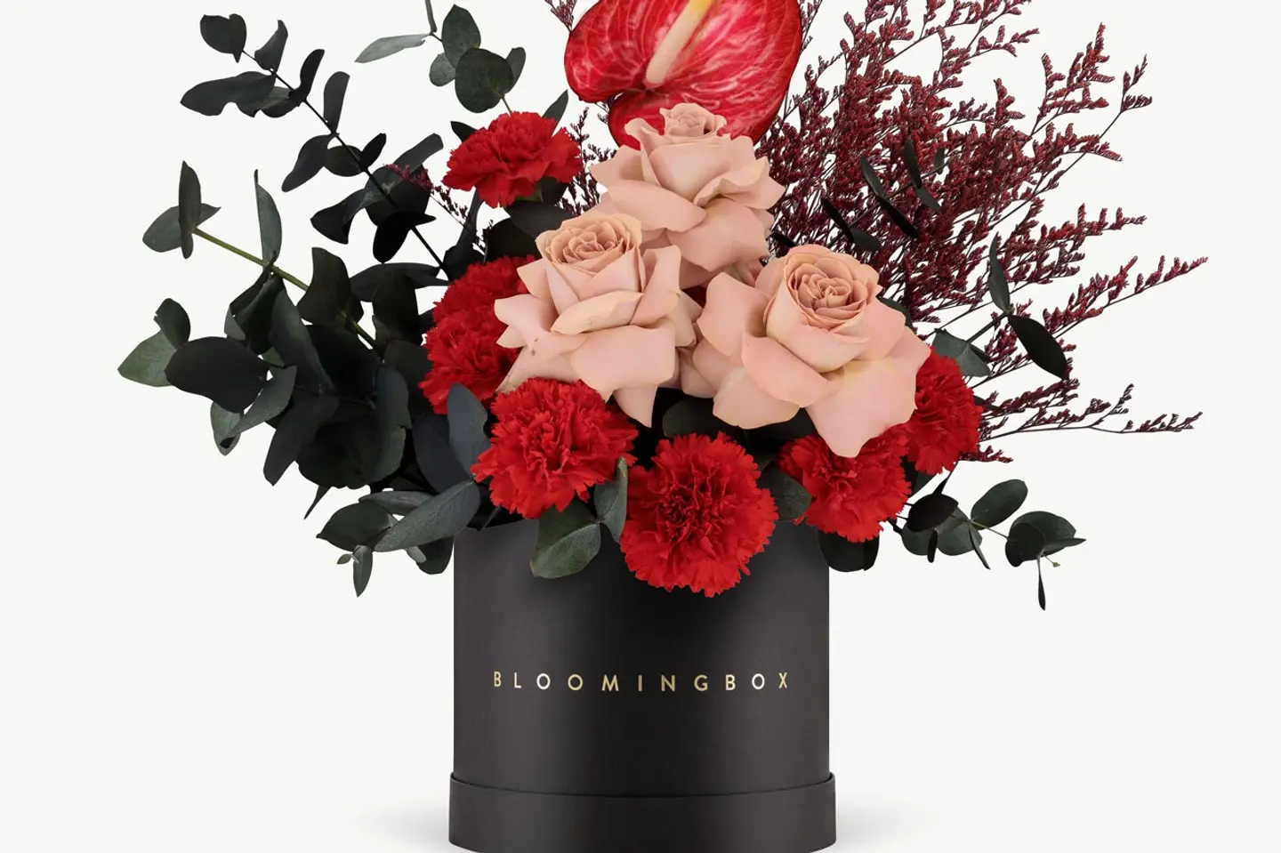 بوكس مراكش متوسط