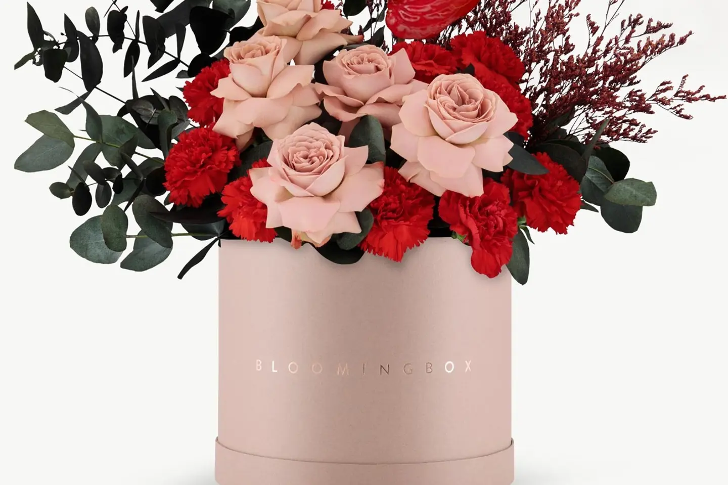 بوكس مراكش كبير