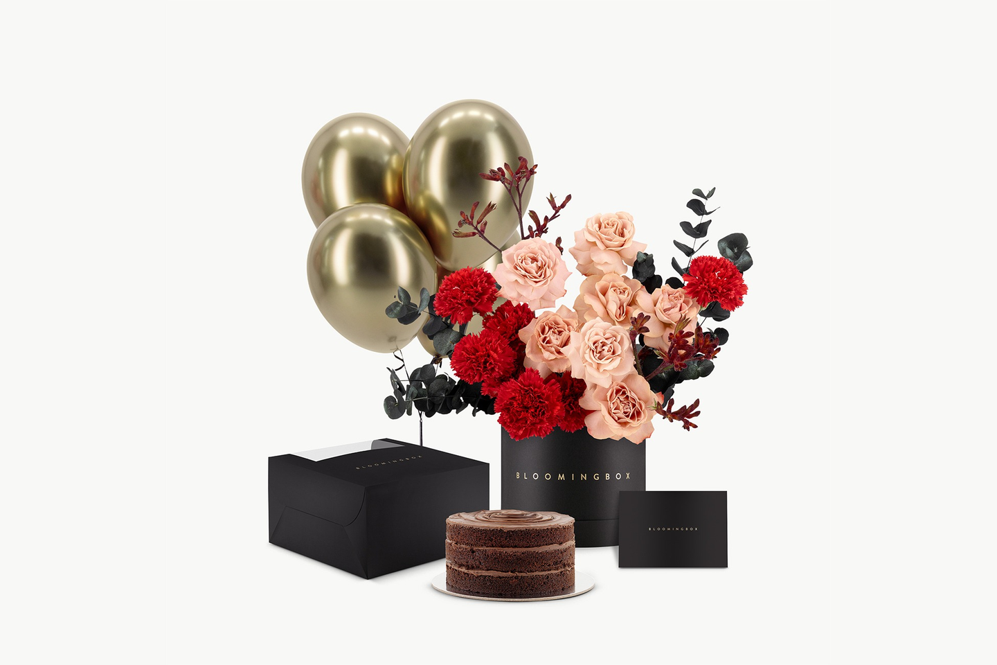 بوكس مراكش مع كيك