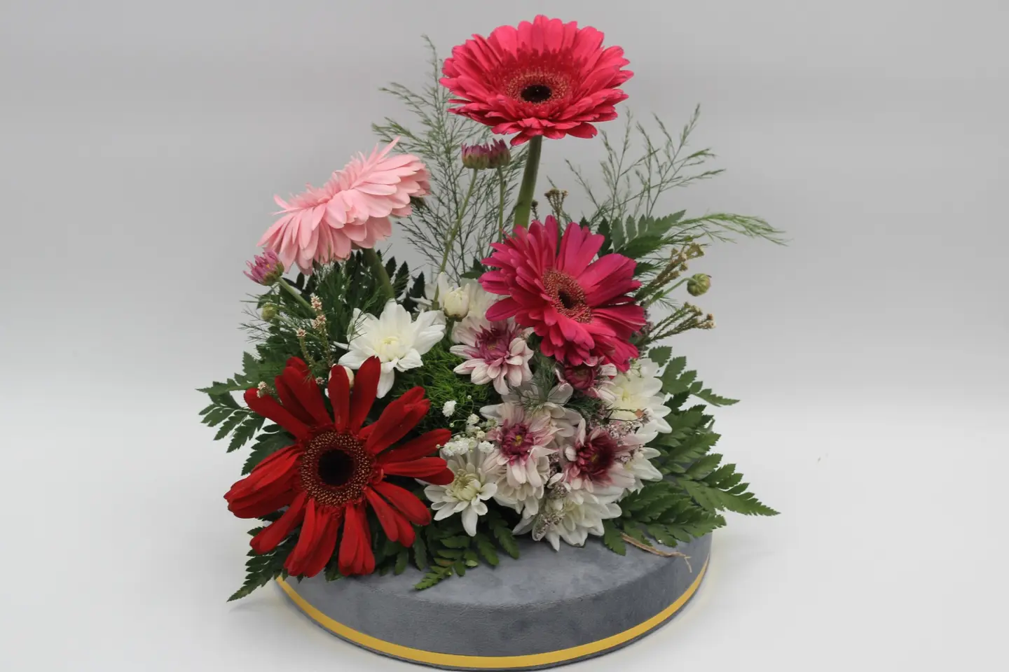 وردة و شتلة ٠٠٠٢٣