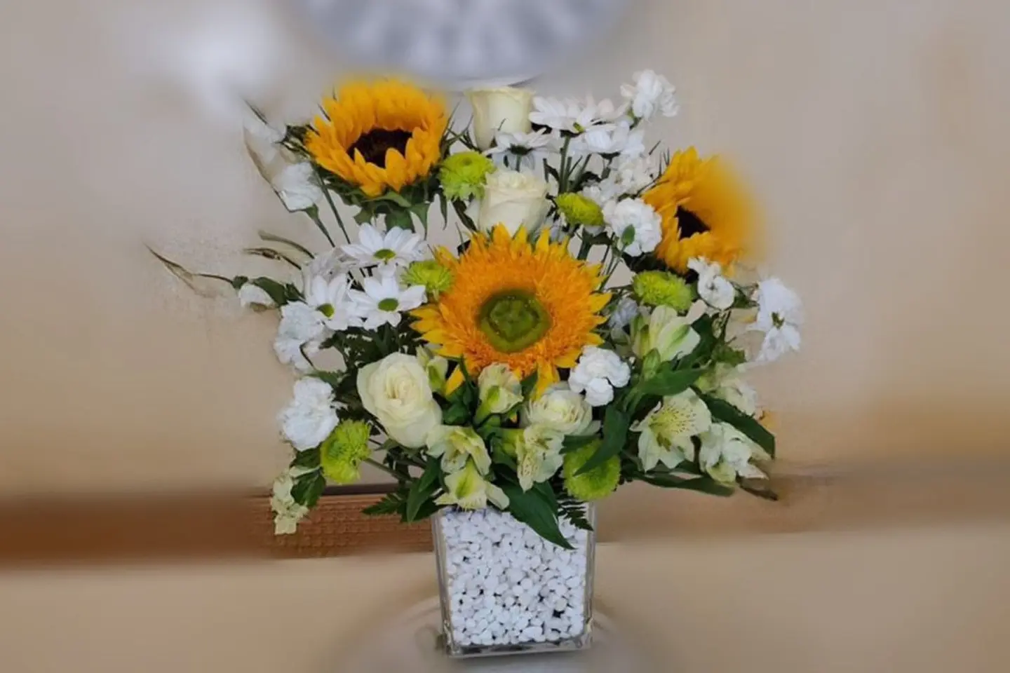 فازة دوار الشمس