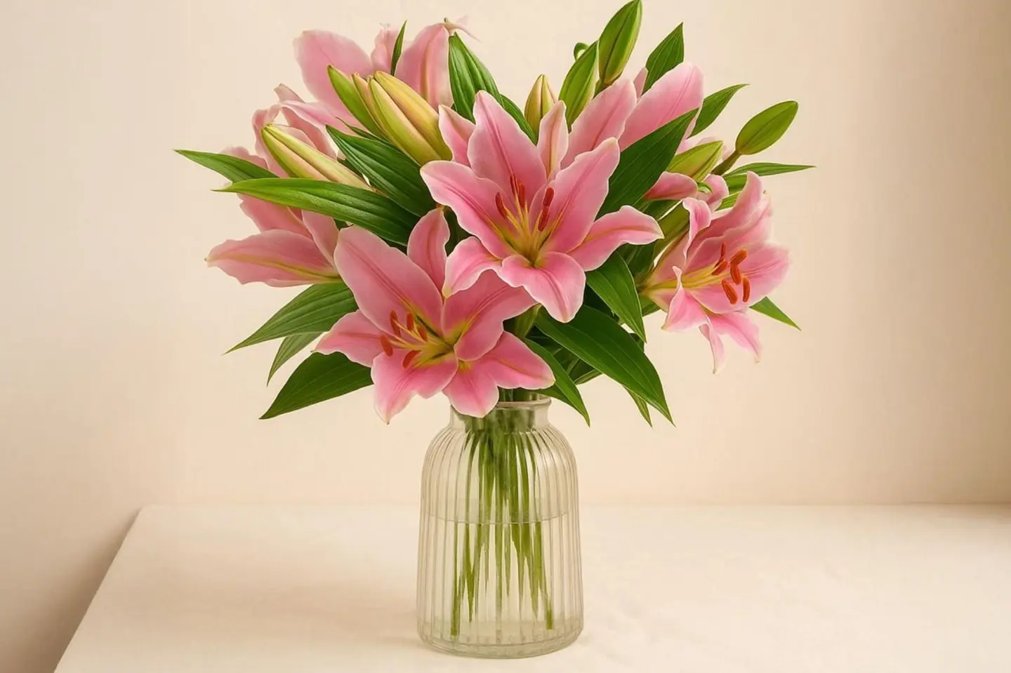 فازة كازابلانكا