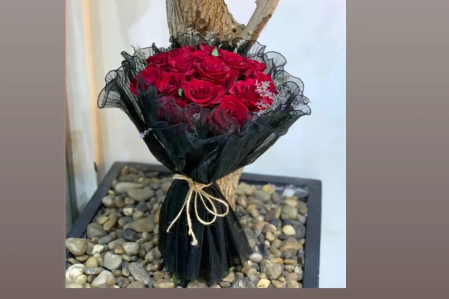 Red Juri Elegance Package5