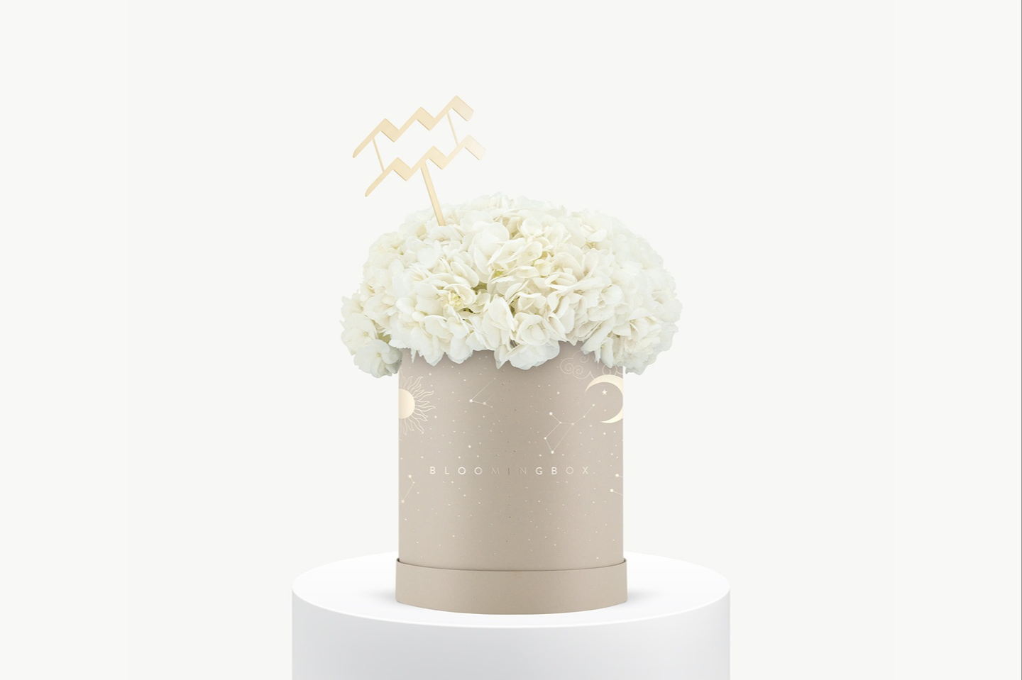 بوكس هيدرانجيا البرج