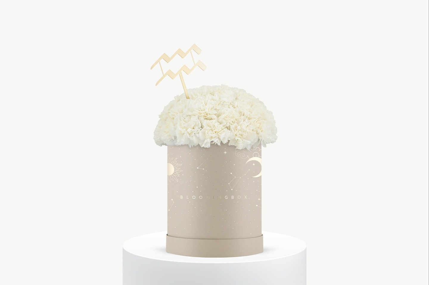 بوكس قرنقل برج العقرب