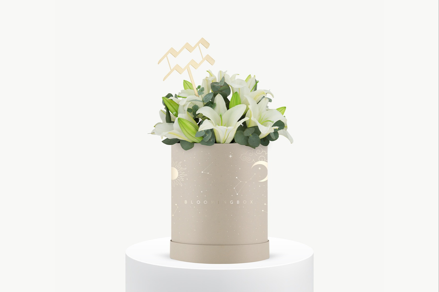 بوكس ليليوم البرج