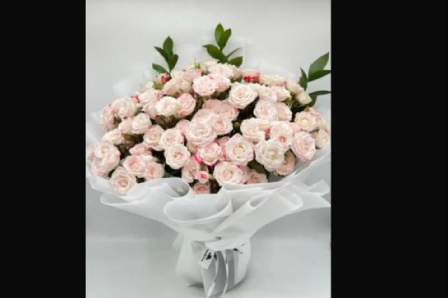 باقة بيبي جوري غلاف ابيض