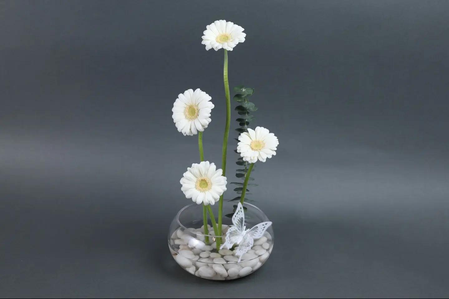 فازة زهور جيربيرا بيضاء