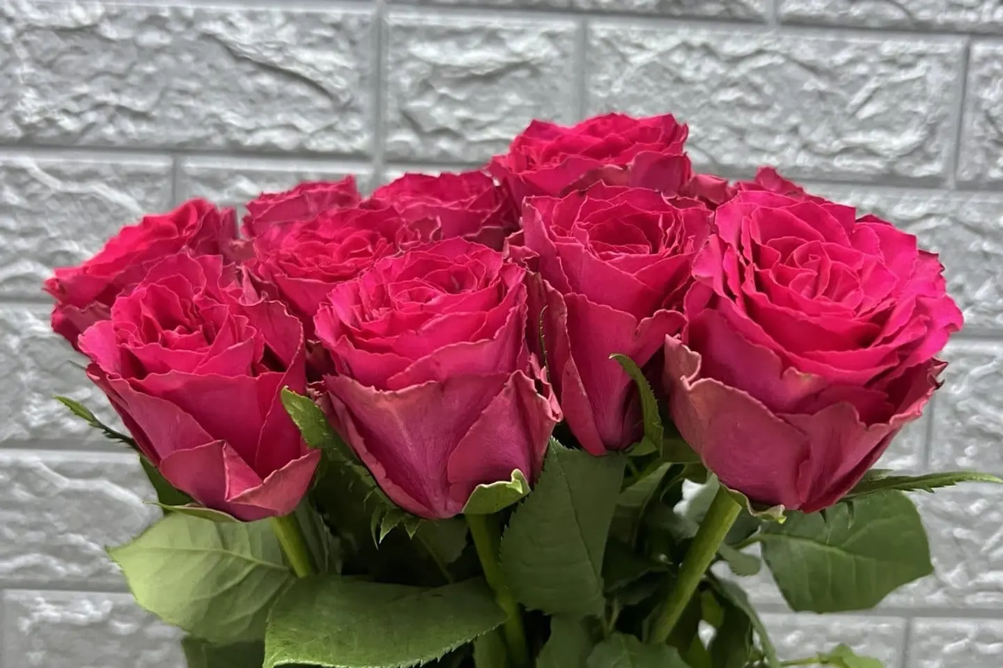 وردة و شتلة ٠٠٠٦٢