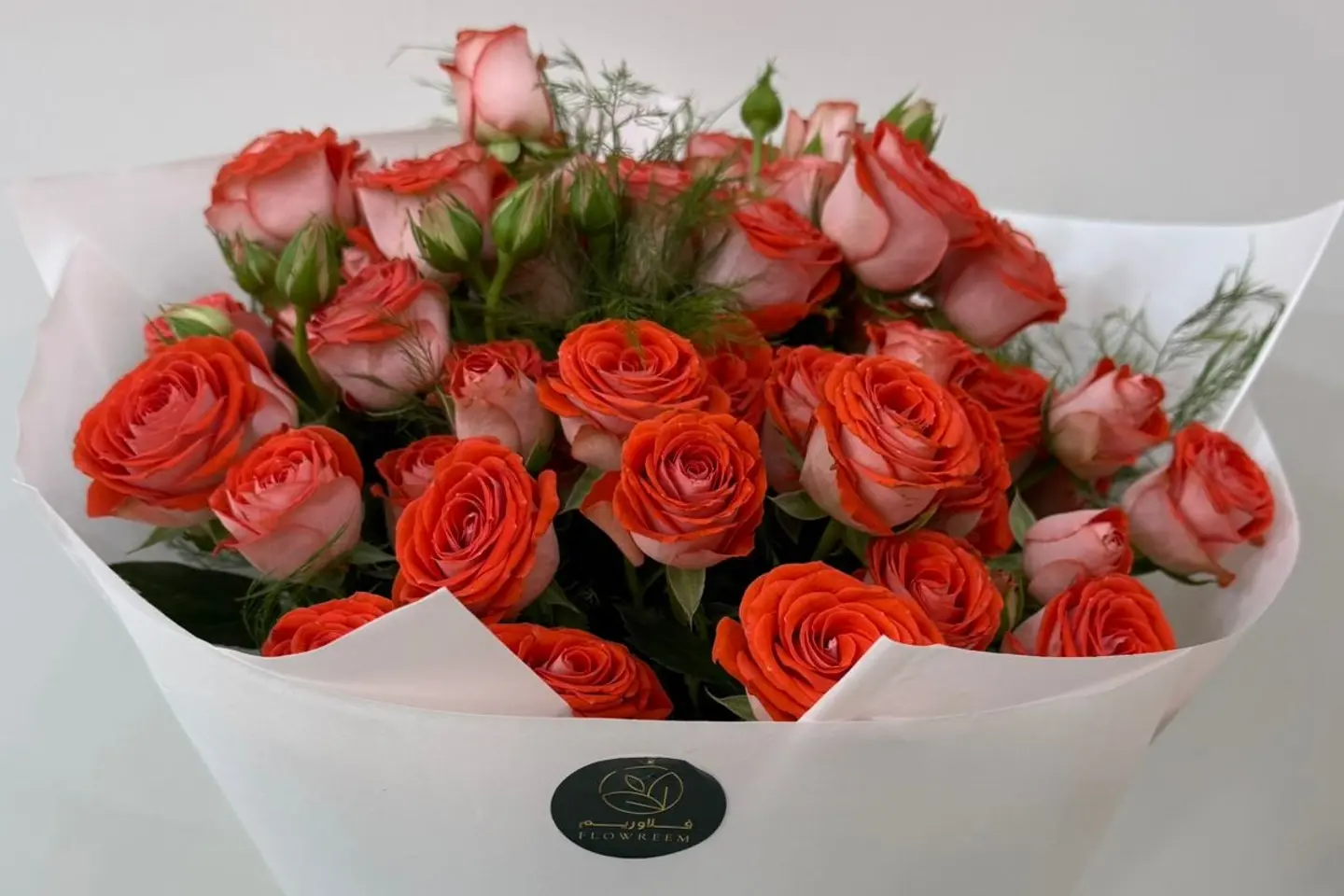 ألوان الفرح