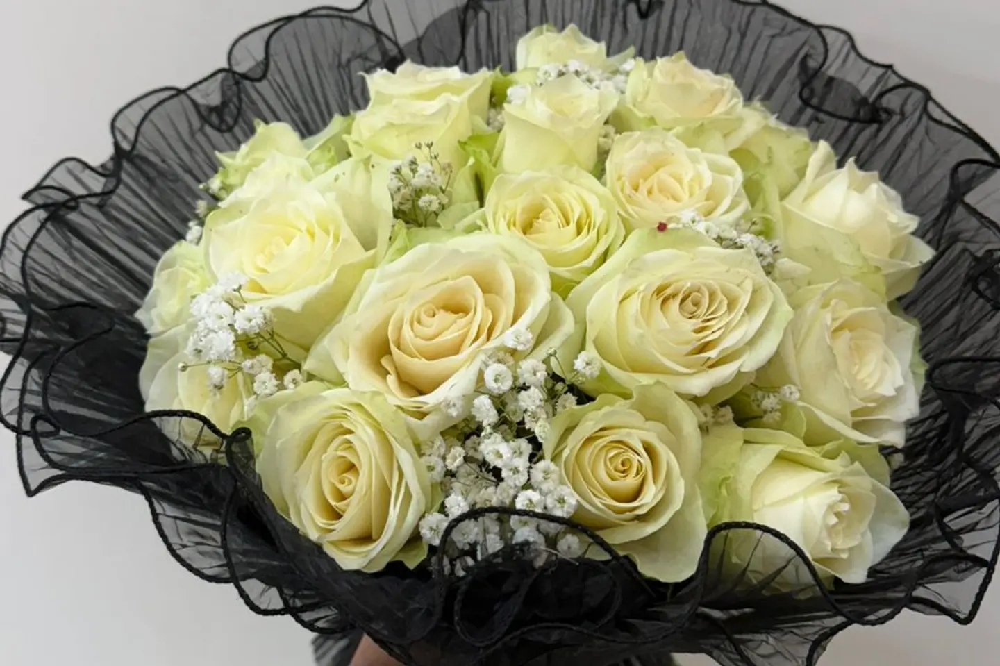 نقاء كلاسيكي