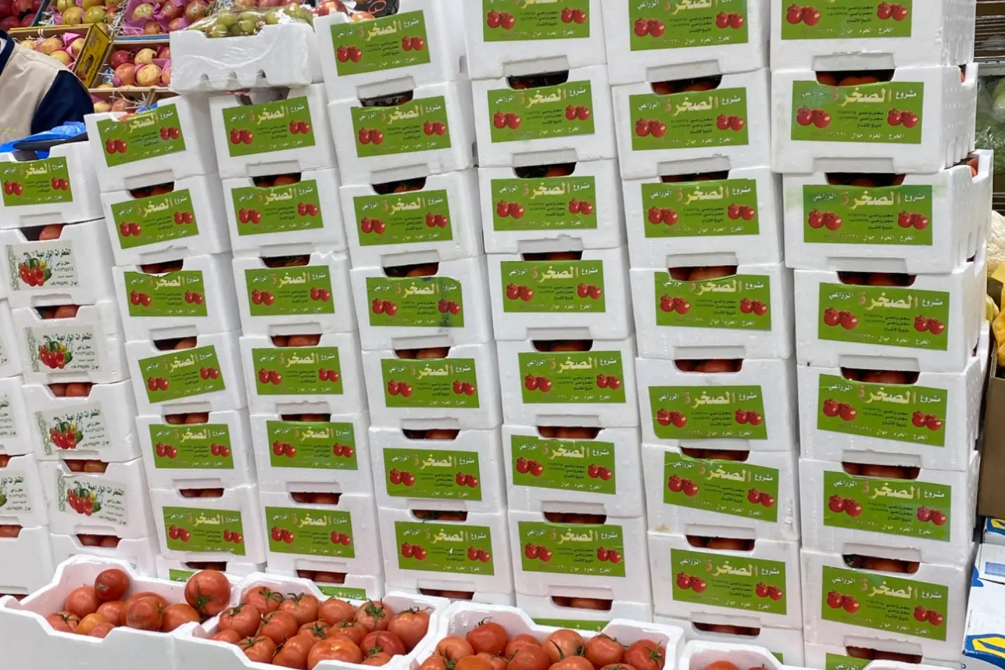 طماطم محمي فلين