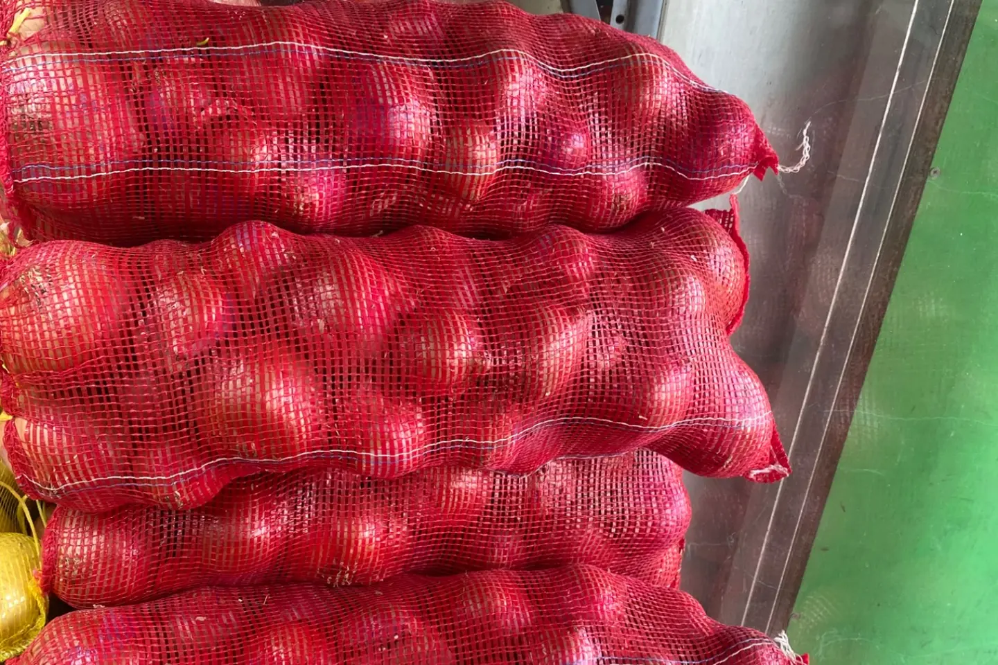 بصل بذره يمني