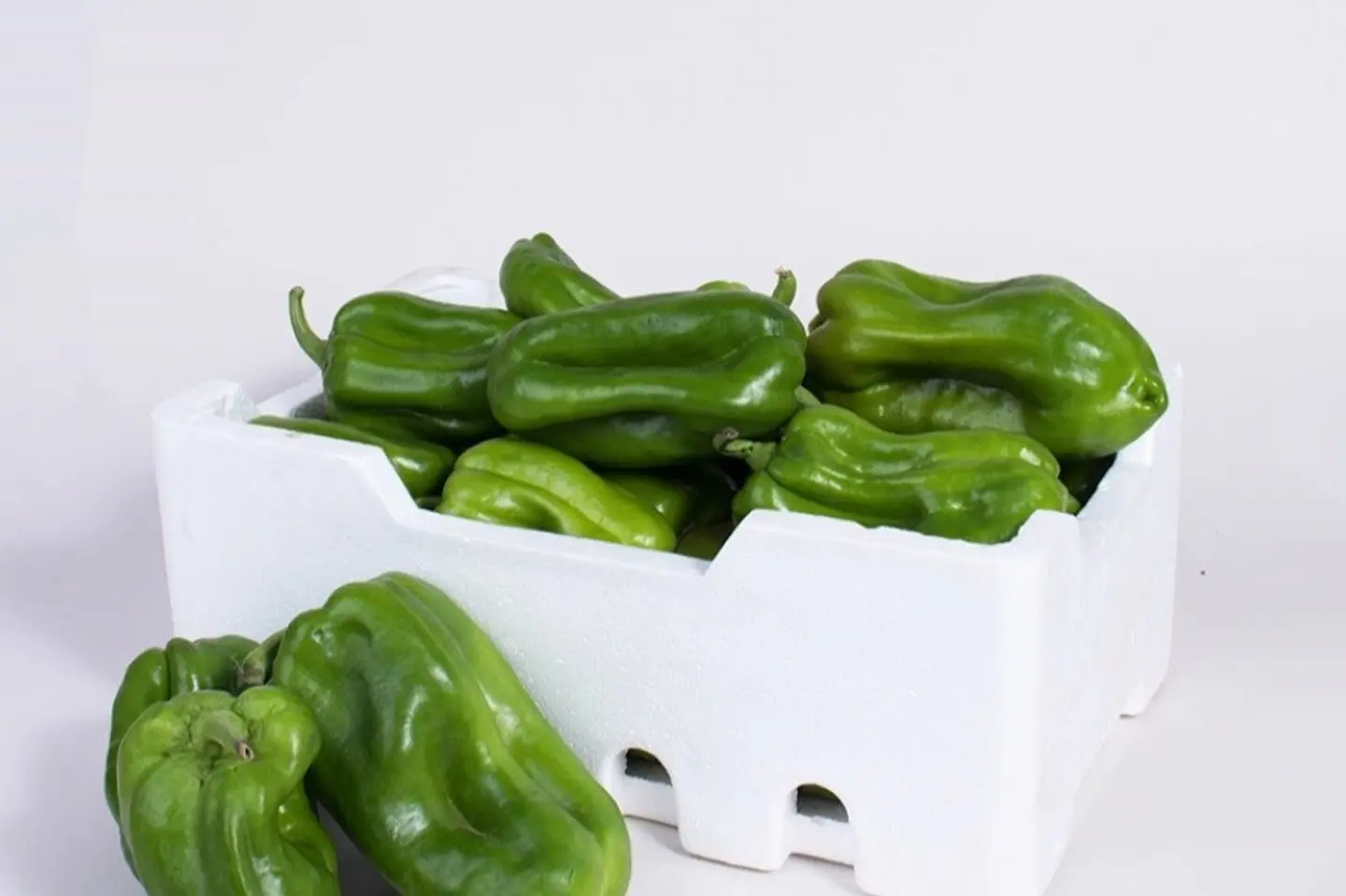 فلفل بارد اخضر - ١كيلو