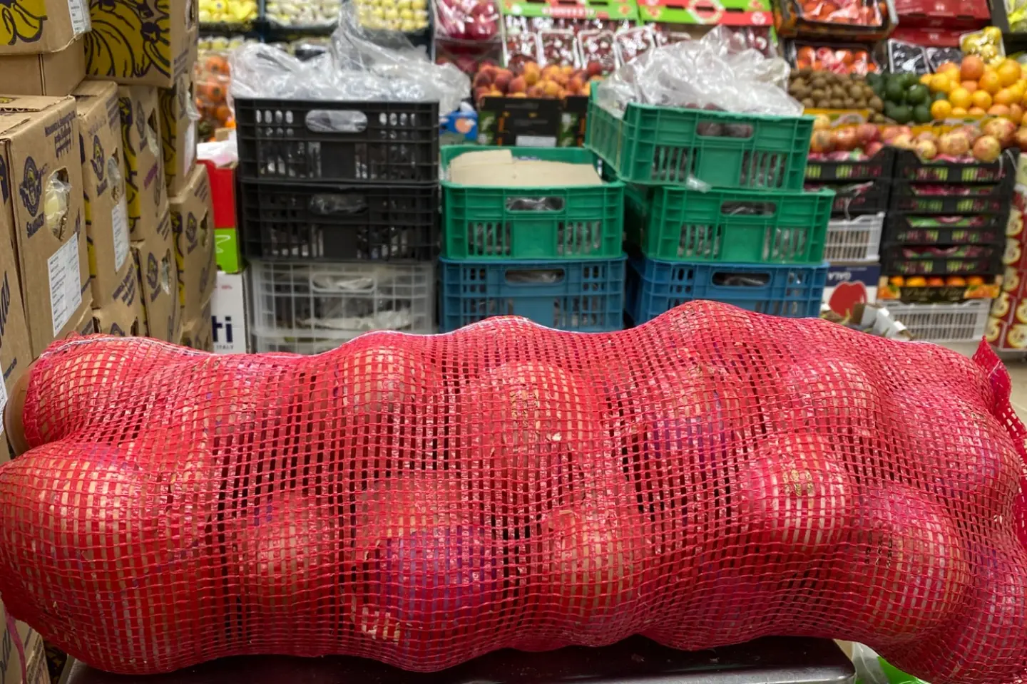 بصل بذره يمني حجم الكبير