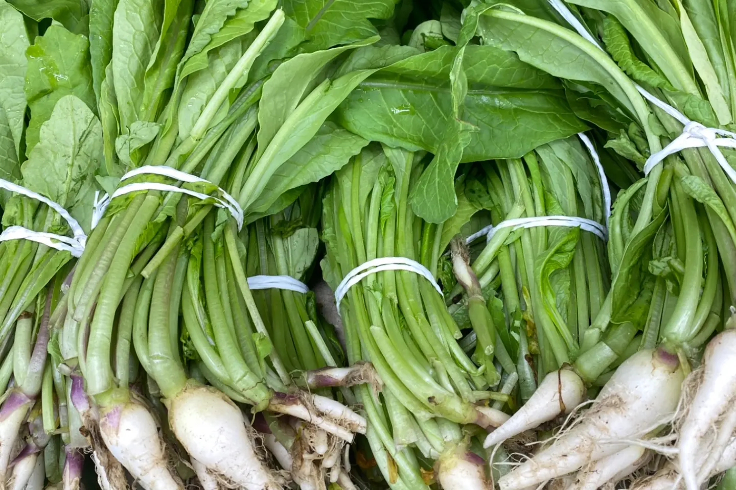 فجل أبيض حزمة