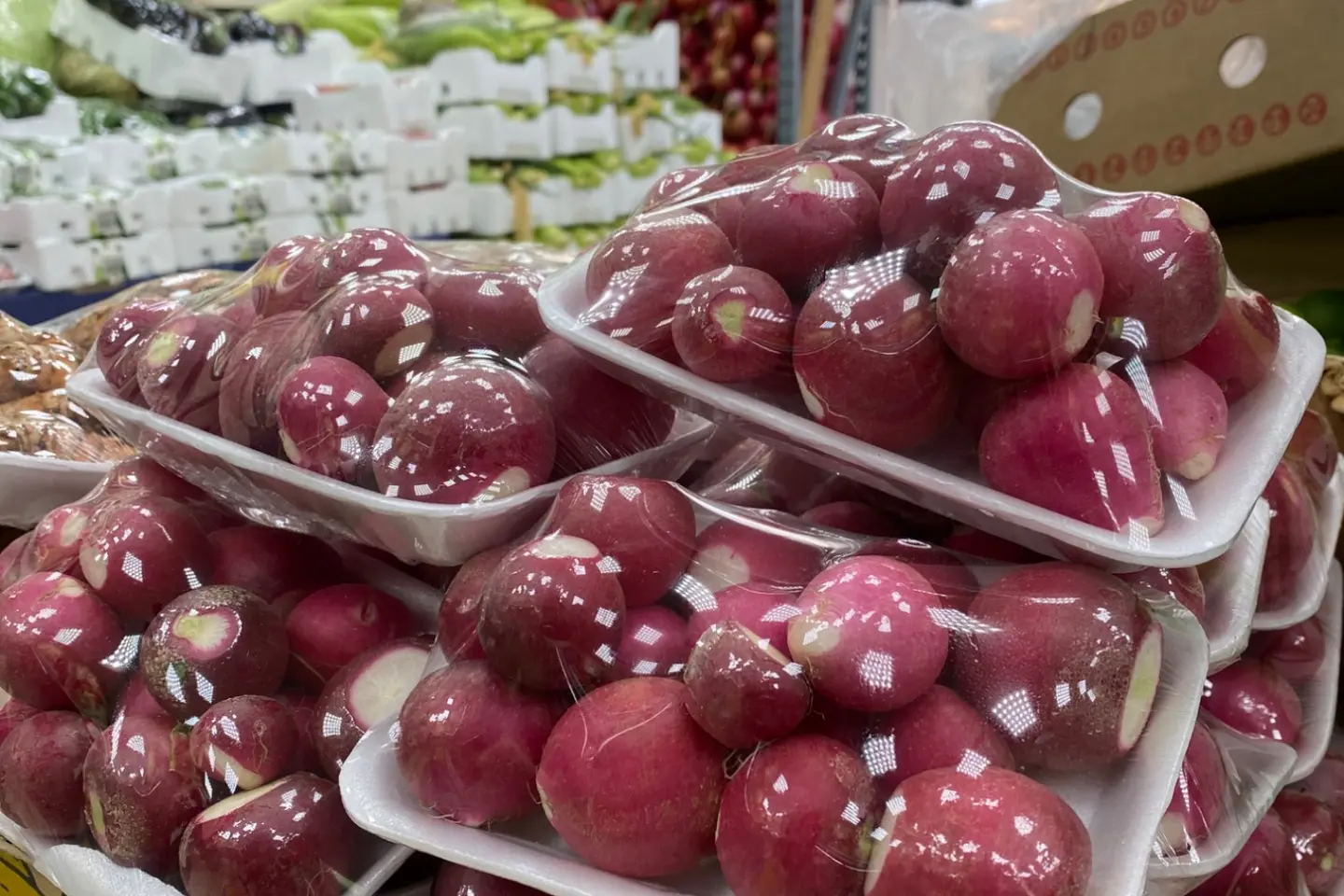 فجل أحمر صحن