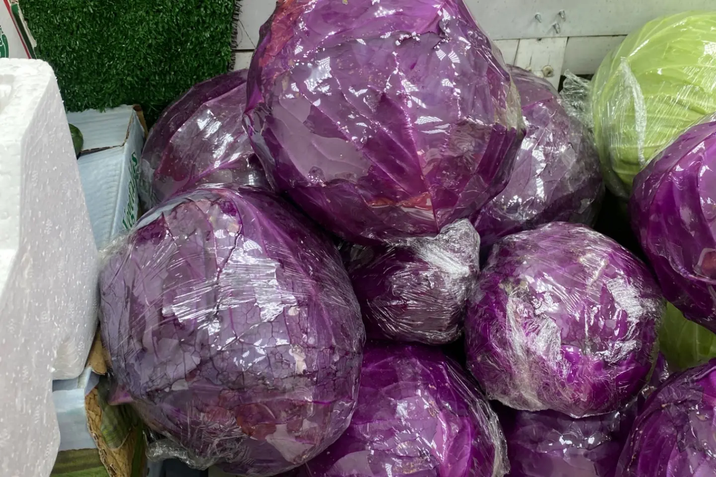 ملفوف أحمر حبه