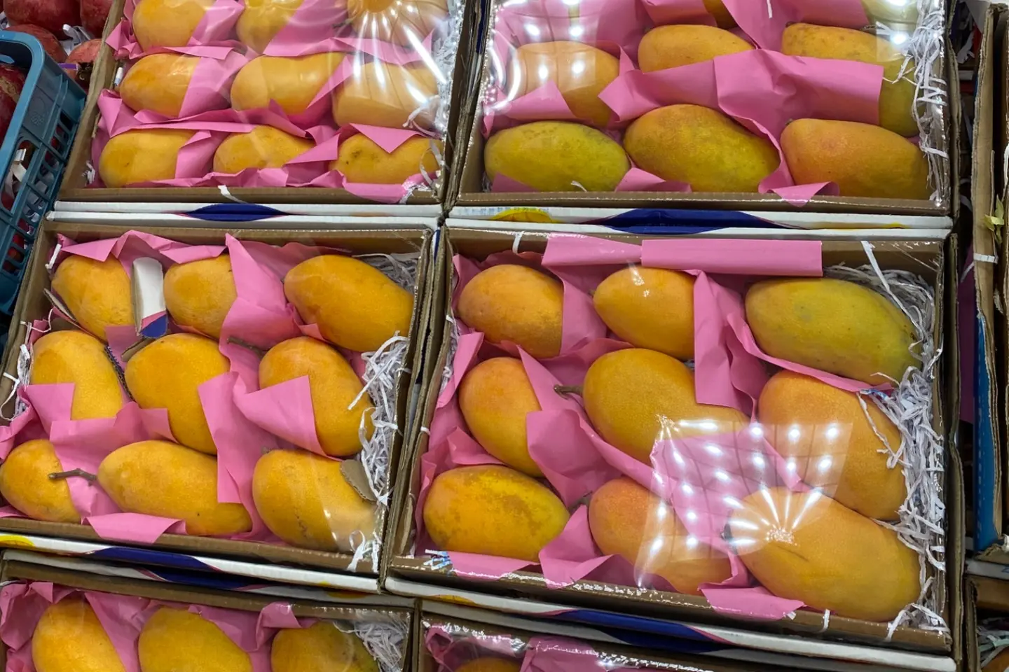 مانجو تيمور يمني فاخر - مانجو تيمور يمني صندوق