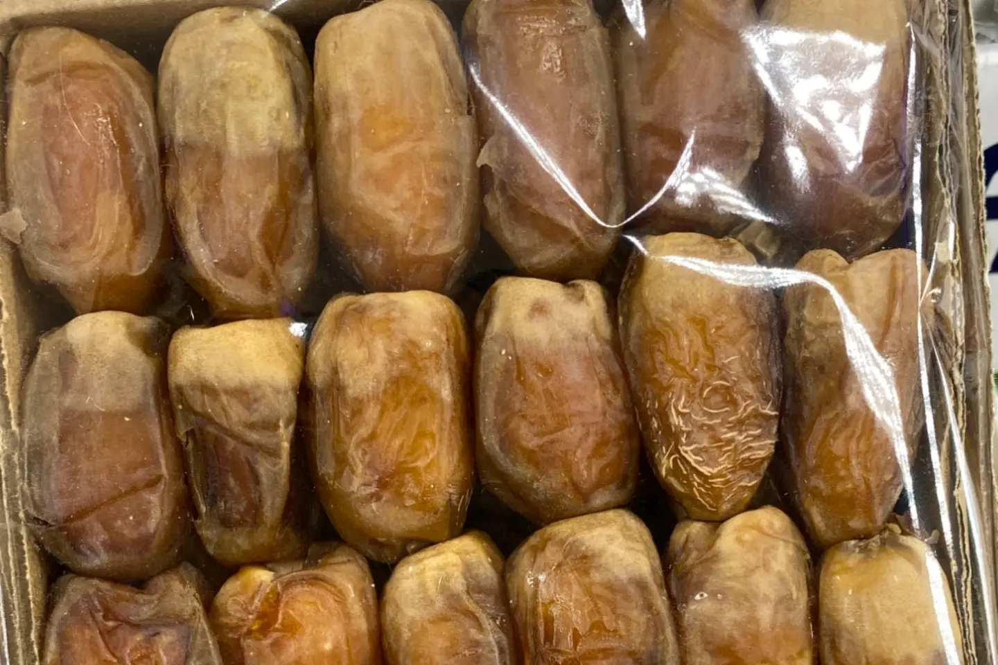 تمر صقعي كرتون صغير