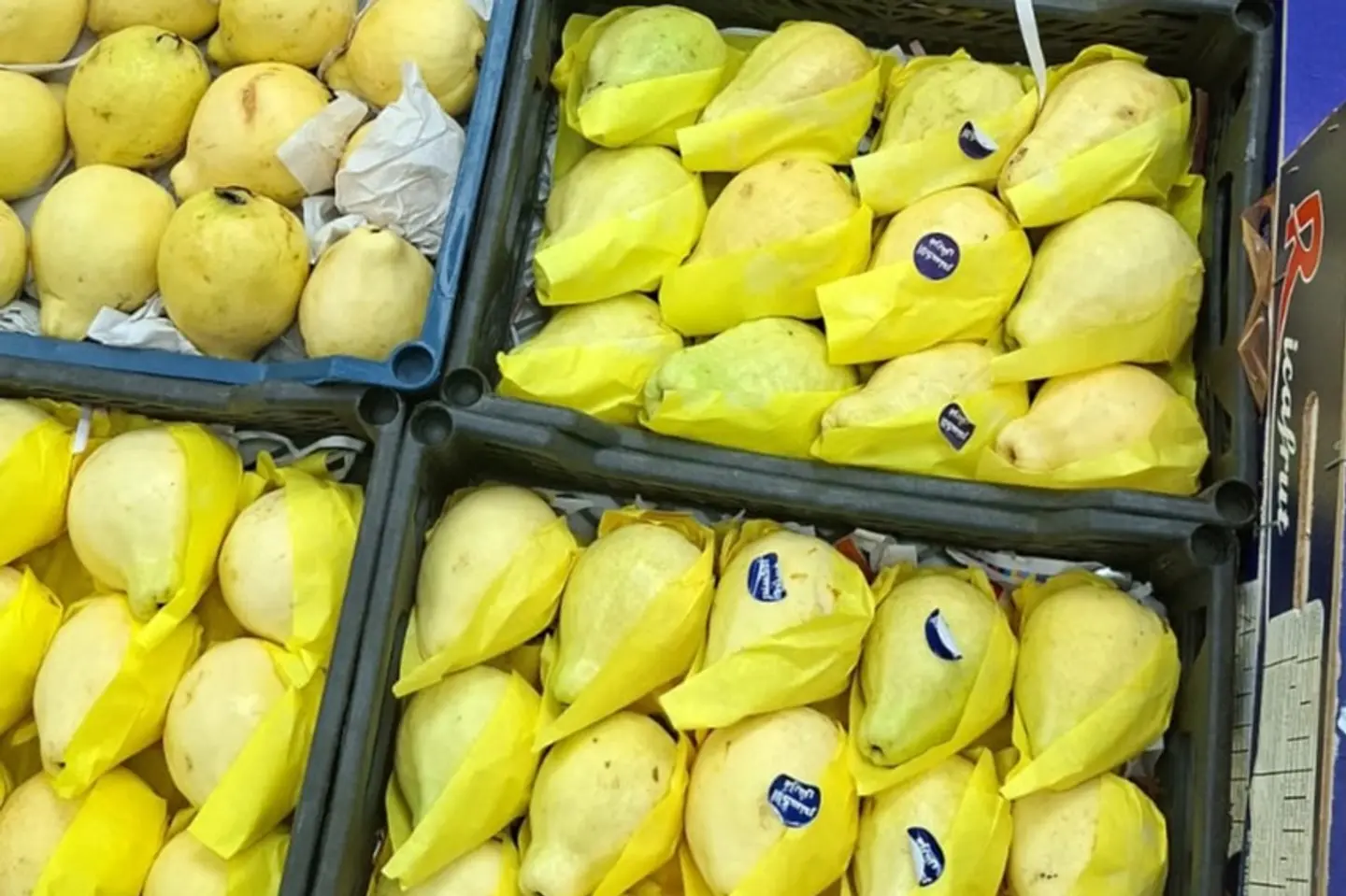 جوافه - ١كيلو