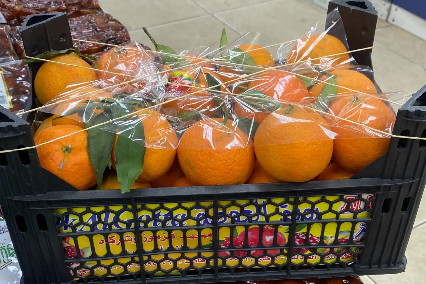 يوسفي سوري سله