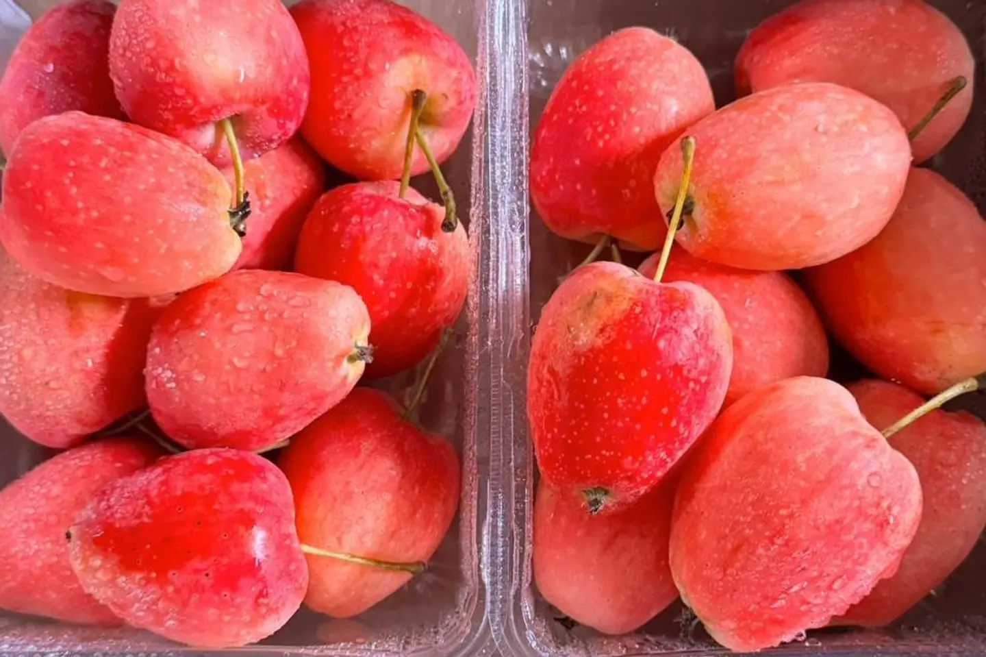 تفاح فراوله علبه