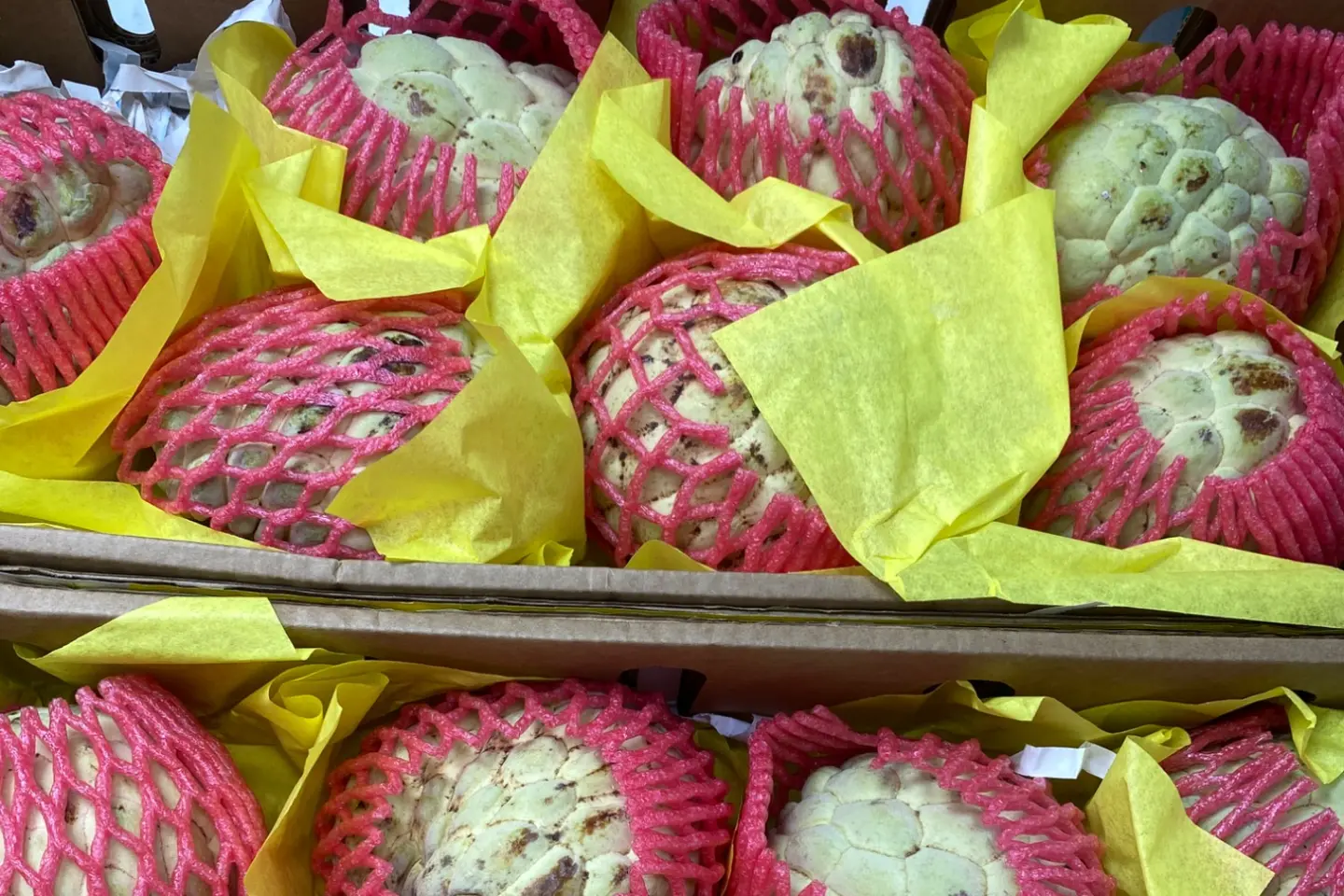 فاكه القشطه - ١كيلو