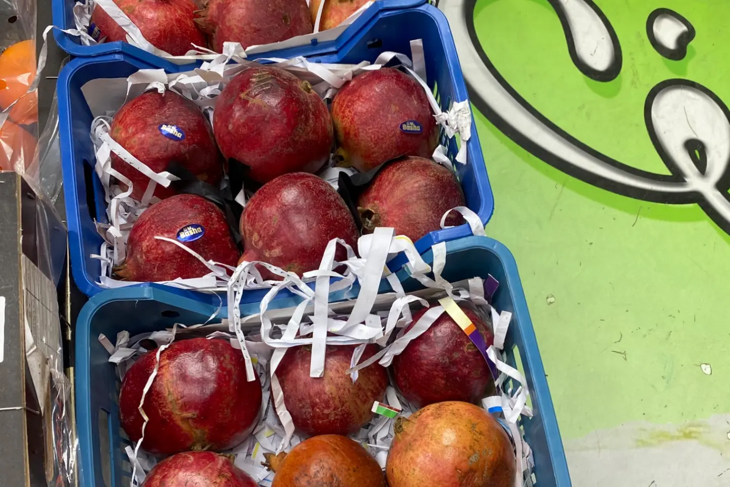 غوجة صحن - رمان سوري سله