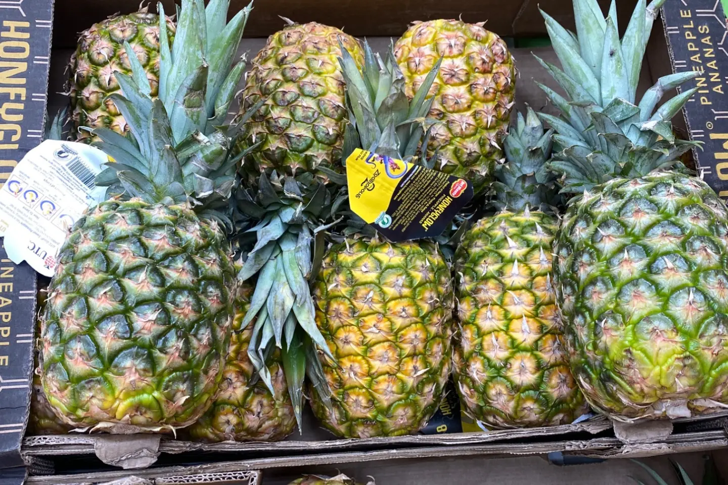 اناناس مانجو حبة