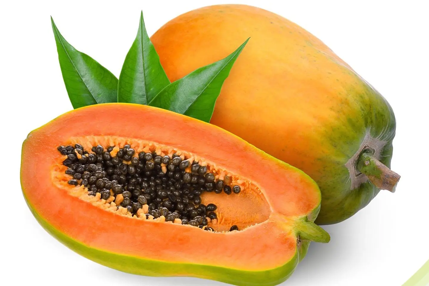 باباي جيزاني حبة