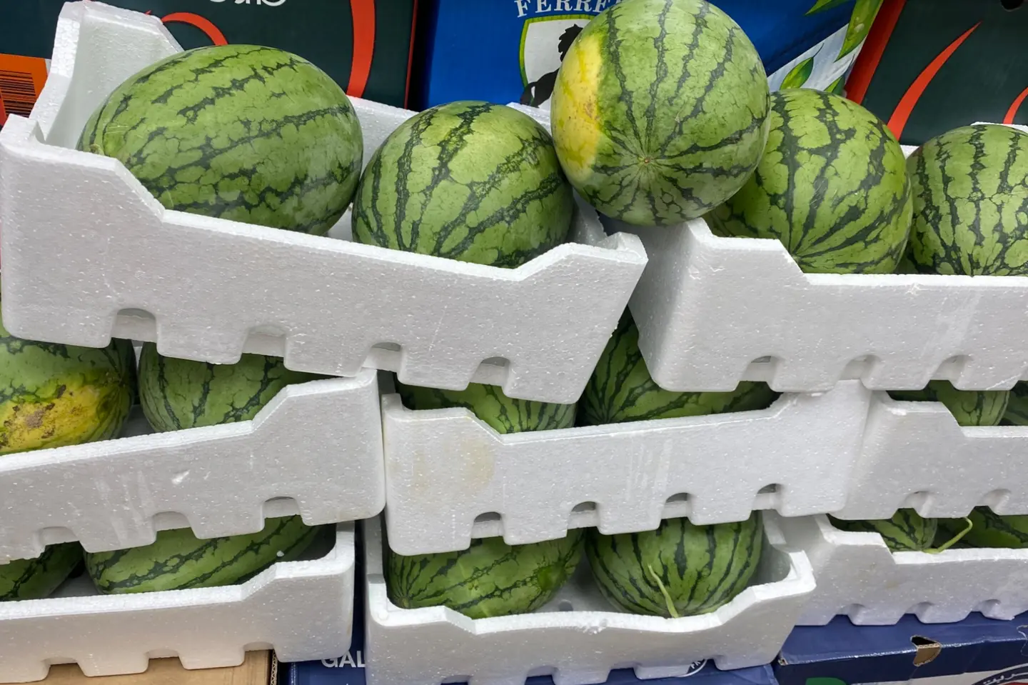 حبحب اصفر الحبه