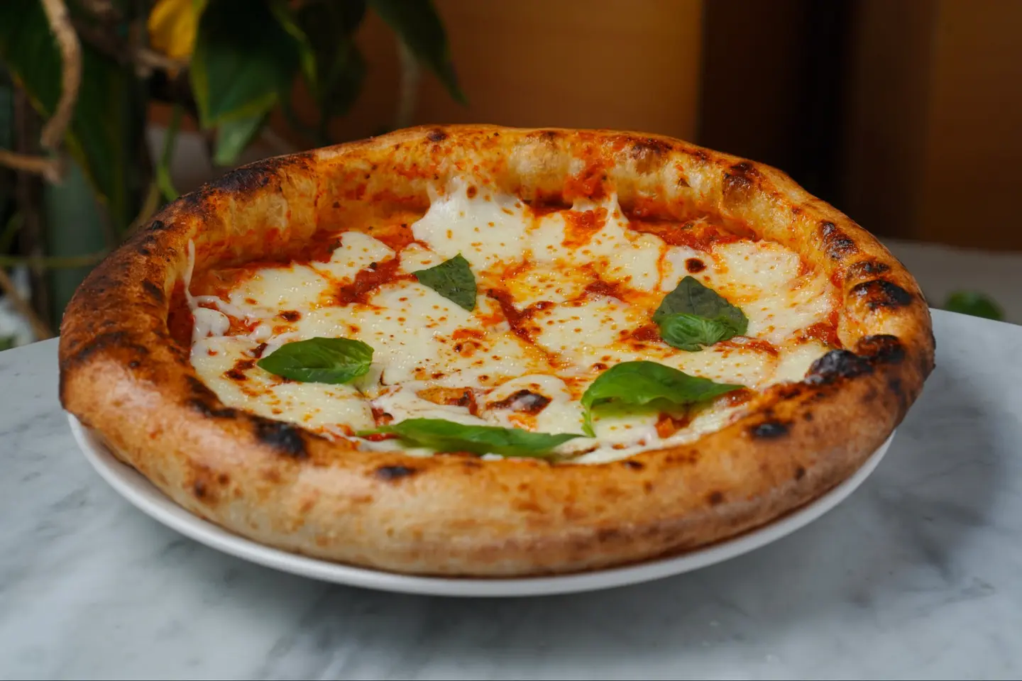 Grilled Vegetable Pizza