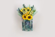 Flowers Of Imagination