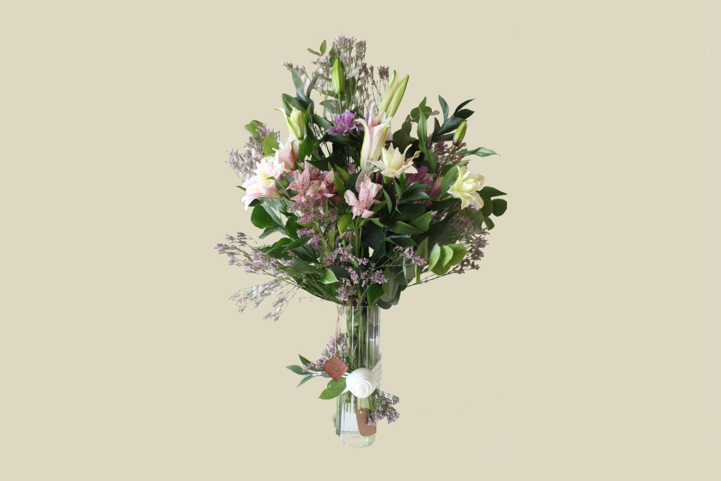 فازة اليوم الجديد