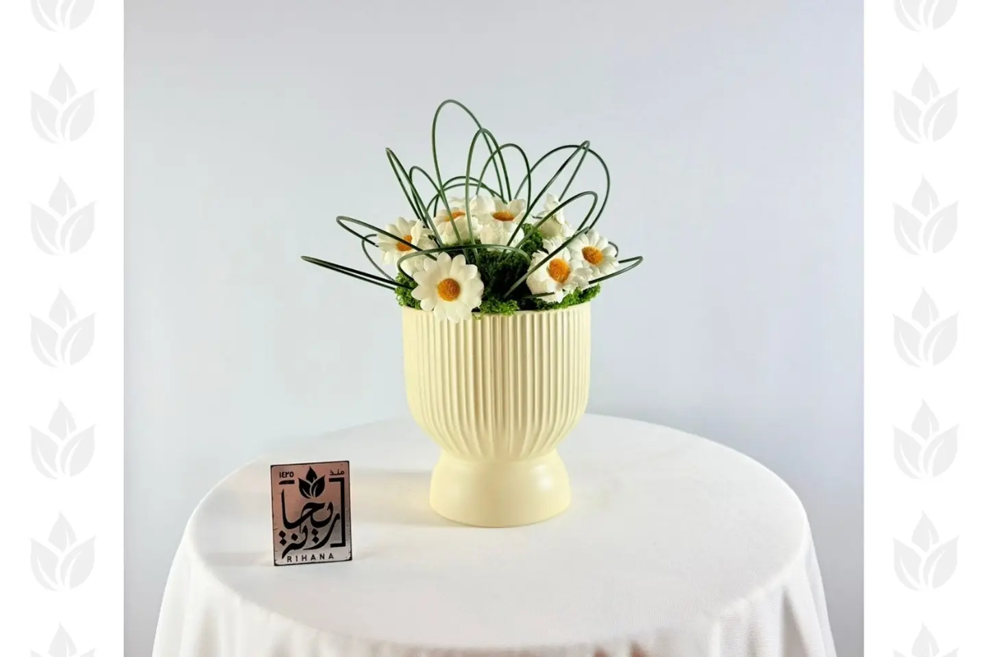 تراقص الأقحوان